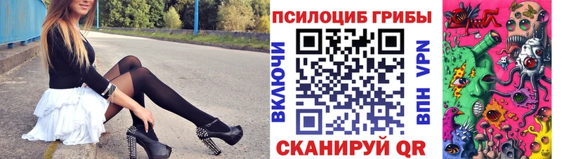 площадка клад  Ковылкино  Галлюциногенные грибы Psilocybine cubensis  OMG онион 
